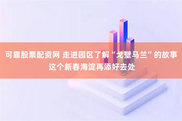 可靠股票配资网 走进园区了解“戈壁马兰”的故事 这个新春海淀再添好去处