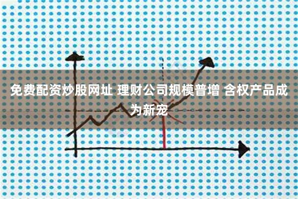 免费配资炒股网址 理财公司规模普增 含权产品成为新宠