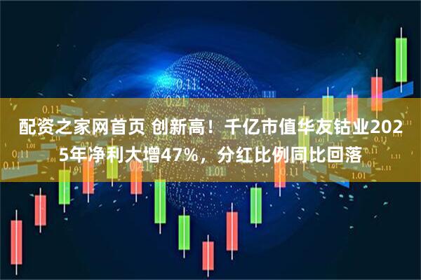 配资之家网首页 创新高！千亿市值华友钴业2025年净利大增47%，分红比例同比回落
